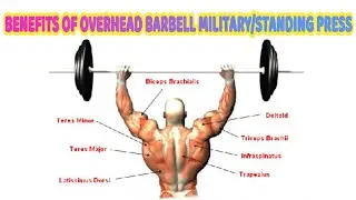 BENEFITS OF OVERHEAD BARBELL MILITARY/STANDING PRESS.
