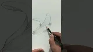 how to draw Banana with pencil shade #shortvideo #art #viral #drawing #creativity #banana
