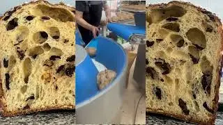 DSF panettone Colbake