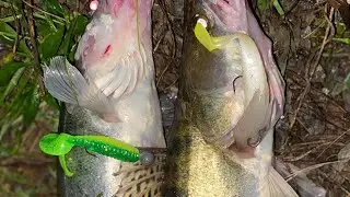 😡🤣🎣🎣