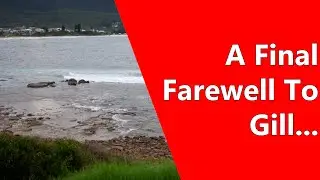 A Final Farewell To Gill....