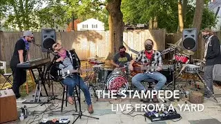 Stampede Live From a Yard (Filmed for The Boston Local Music Festival)