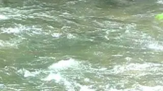 Flash Flooding Small stream after a TStorm