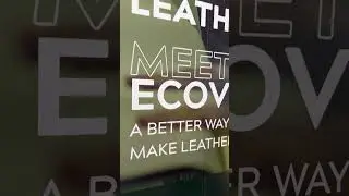 Global Leather Trends Review 2025