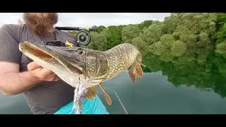 P&ecirc;che du GROS Brochet au streamer