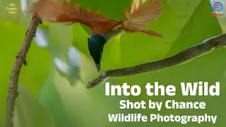 DD Morning Show | Into the Wild | Shot by Chance | Wildlife Photography | Jungle Photography
