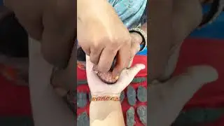Mid angle🥰😍❤️#cone#design#instant#temporary#stamping#remember#mehandi#mehndi#stamp#blossom#mehndi