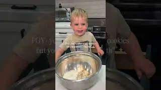 HEALTHY CHOCOLATE CHIP TODDLER APPROVED COOKIES🍪