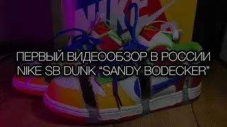 ПЕРВЫЙ ВИДЕО ОБЗОР В РОССИИ EBay x Nike SB Dunk Low &laquo;Sandy Bodecker&raquo; 2022