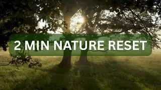 2 Minute Relaxation Timer | Serene Nature Scenes for Focus & Meditation
