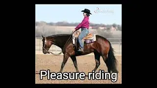 Choose your western horse riding discipline   #western #horseriding #barrelracing #disciplines