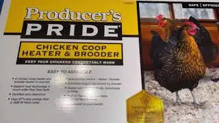 Chicken Coop Heater DETAILED REVIEW Producer's Pride Heater & Brooder