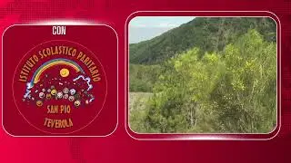 Nuovo sciame sismico ai Campi Flegrei  - |CONTRASTOTV