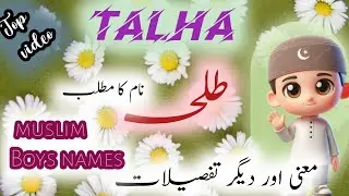 Talha name meaning in urdu|Talha name ke mayne|Talha name ka matlab & lucky number|islamic tarbiyat
