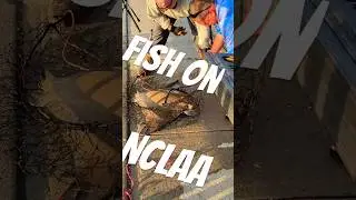 #FISH-ON FOR THE #NCLAA (No Child Left Alone Act)