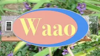 Waao - Taxi (Official Music Video)