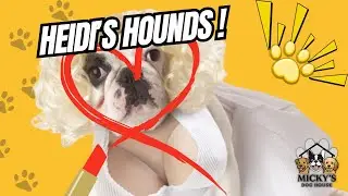 Heidi&rsquo;s Hounds EXPOSED! | Talking Dogs at Micky&rsquo;s Dog House