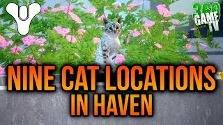 Destiny Rising NINE Cat Locations - Pet Cats in Haven Guide - New Light Challenge Solution