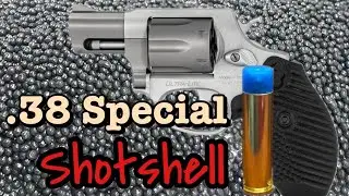 Hand Loaded 38 Special Snake Shot. #reloading  #hornady #leeprecision #speerbullets #shotshell