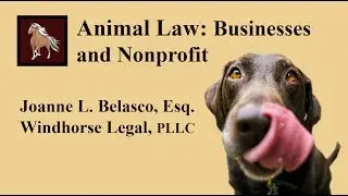 Animal Law - Businesses and Nonprofit