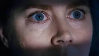 Woman Spies on Her Neighbours and Sees a Crime No One Else Believes Happened