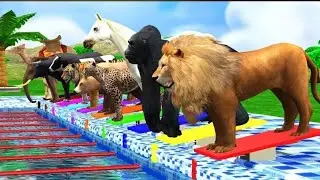 5 Giant Duck Cartoon Cow Elephant Tiger Dinosaur Paint Wild Animals Crossing Fountain Animation U985
