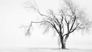 Sad Viola Music - Broken