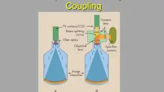 rad 211 chp 25 and 26