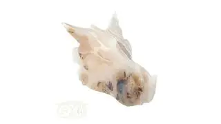 Agaat Drakenschedel 230 gram  - Edelstenen draken kopen