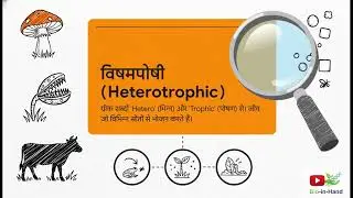 nutrition and its type(जीवन का इंधन)