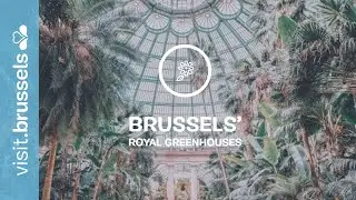 Brussels Royal Greenhouses of Laeken