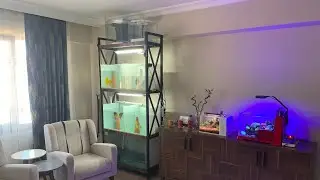 Discus üretimi