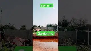#movedabroad #nigeria