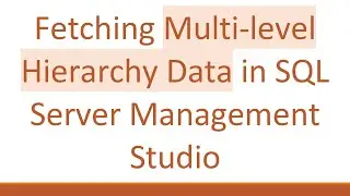 Fetching Multi-level Hierarchy Data in SQL Server Management Studio
