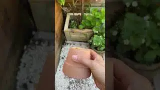 D&eacute;co jardin #garden #diy #diyfamily #decoration