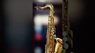 🎶 SAXOPHONE SOUND - MUSICAL INSTRUMENT SOUNDS - The Best Sound Effects