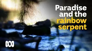 Paradise &ndash; What is beneath the water? An ancient dreaming story | The Pool