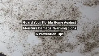Moisture Damage Warning Signs | Guard Your Florida Home & Prevent Costly Repairs
