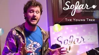 The Young Tree - Borderline | Sofar Udine