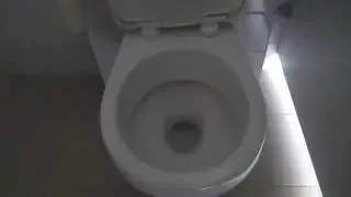 STUCK as SELFISH Consumers (Self/Troll-LED, TROLLED Spectators) - Sean HROSS Graveyard toilet rant