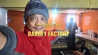 Inside a Bakery Factory | Cake & Bread Making Process | Food Factory Tour