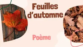 Feuilles d&rsquo;automne &ndash; Po&egrave;me d&rsquo;Isabelle Jaccard | Lecture po&eacute;tique pour enfants (primaire) 🍁