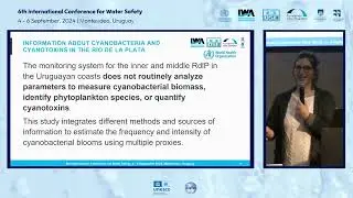 Holistic Risk Assessment and Management