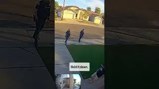 Cops Are STUNNED By How Real This Fake Grass Looks