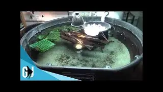 #513: Full Fishroom Walk Through - Update Monday