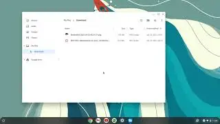 Chromebook: Access Files & Downloads Folder