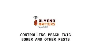 Controlling Peach Twig Borer and Other Pests