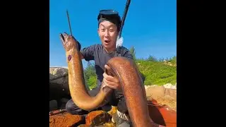 Now Get a Super-Large Eels - on a Deserted Island
