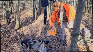 Jeff's 170 Class Buck 11/22/2025, Public Land Whitetails 2