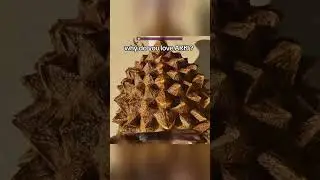 SERVER ARK:SE PC PVP MOHAWKS X10 #ark #arkfr #arksurvivalevolved #dinos #dinosaur